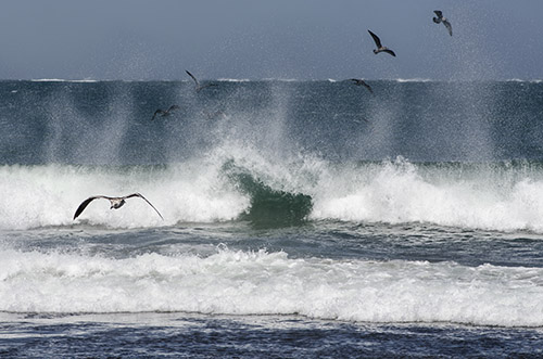 Wave Chasers